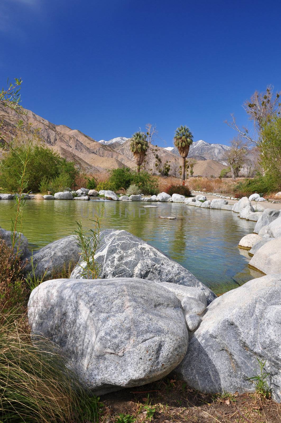 A small pond in Whitewater Canyon creates a desert oasis near the town of Palm Springs, California.