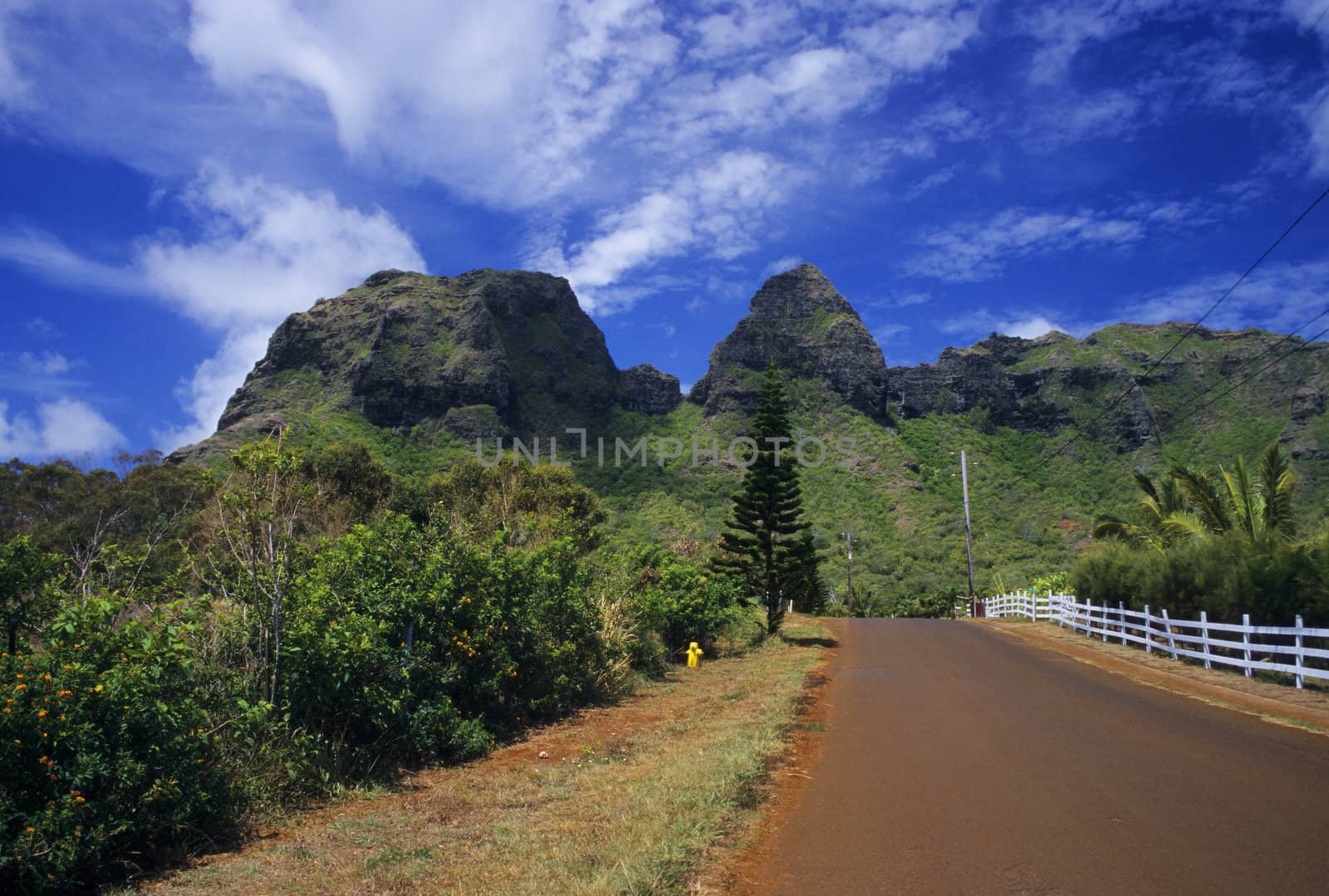 A country road leads up toward the peak of Nounou Mountain on the island of Kauai.