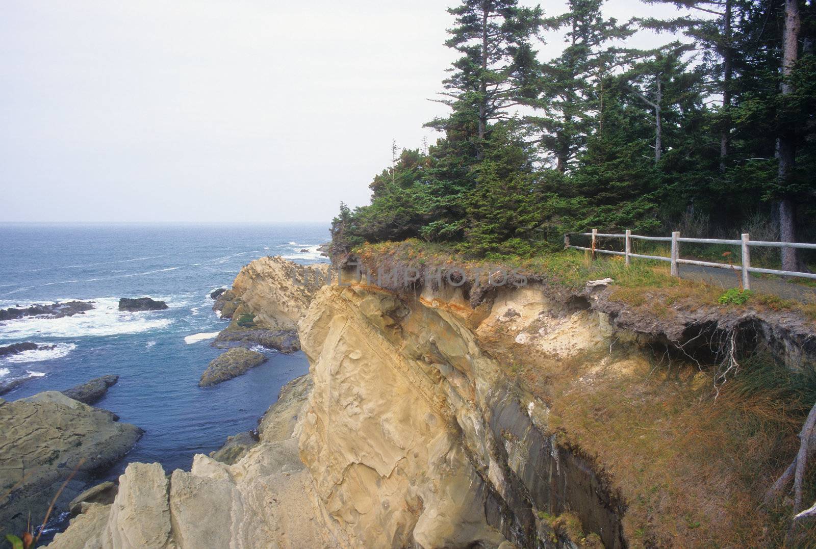 View of eroding cliffs at Shore Acres Park along the southern coast of Oregon.
