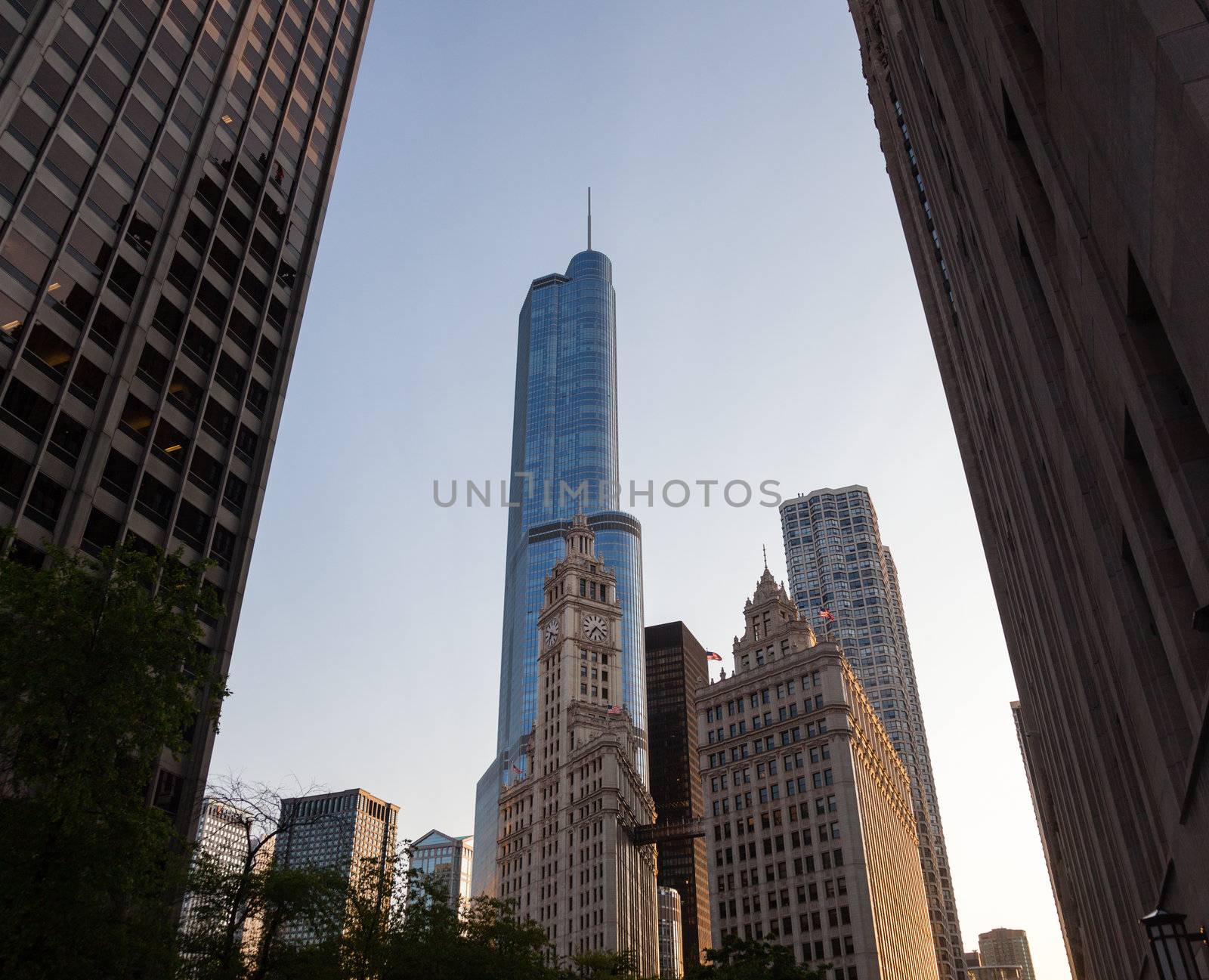 CHICAGO - MAY 14: Trump Tower looms behind Wrigley Building in Chicago on May 14, 2012. Trump Tower tops out at 1389 feet