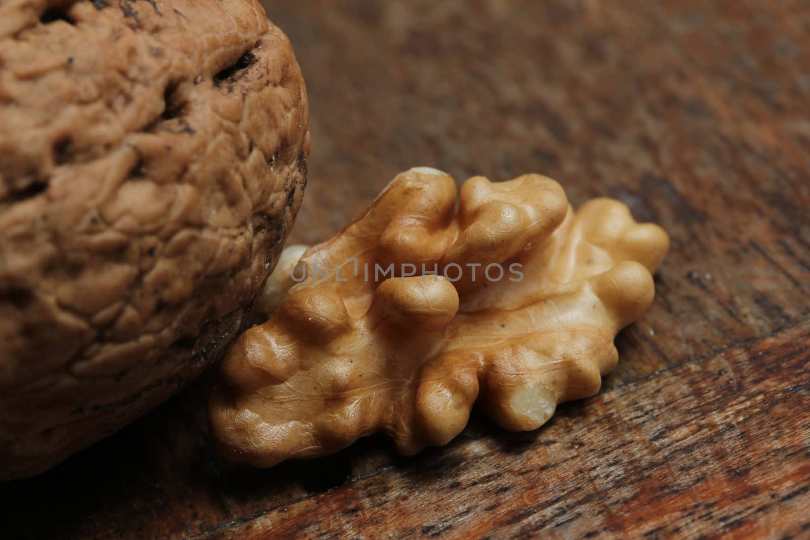 walnut close up by Teka77