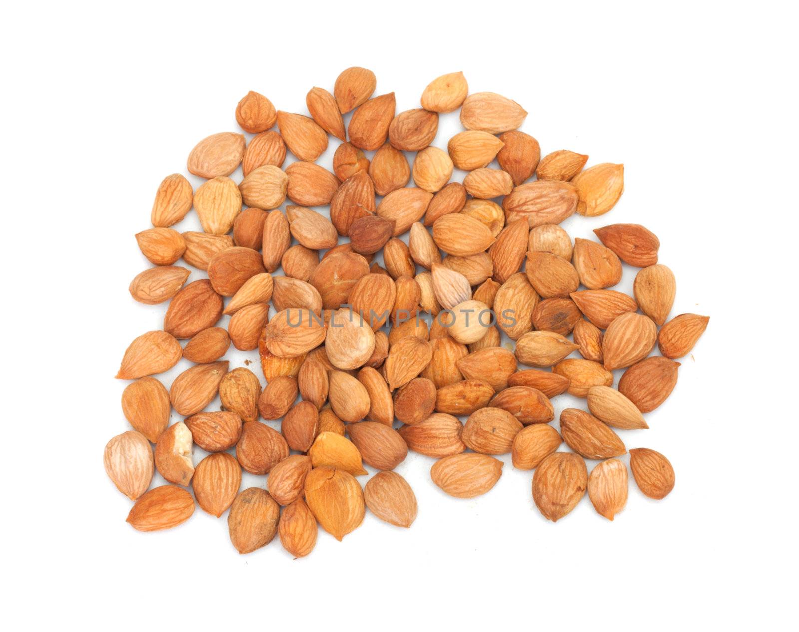 nuts from dried apricots by schankz