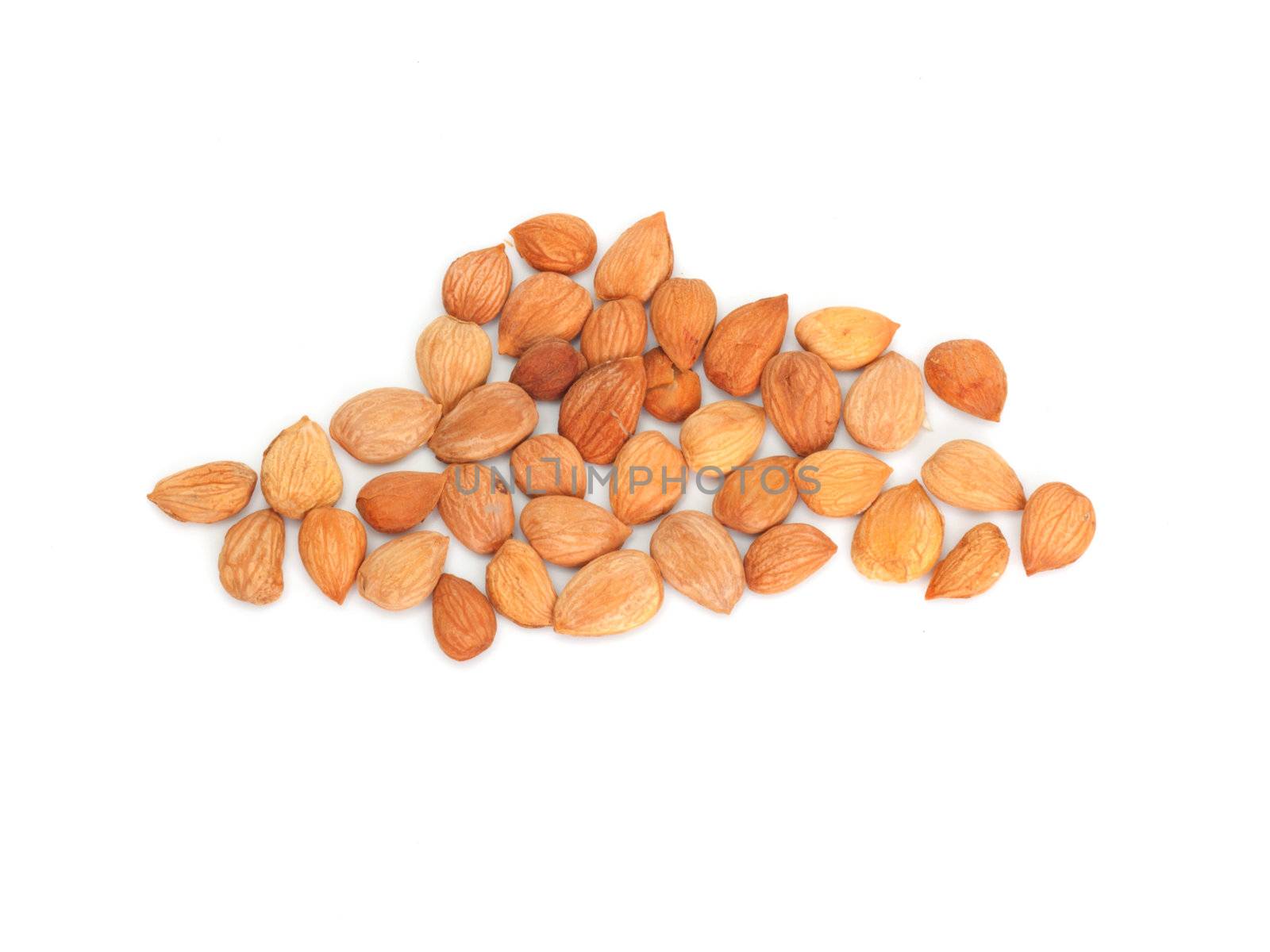 nuts from dried apricots by schankz