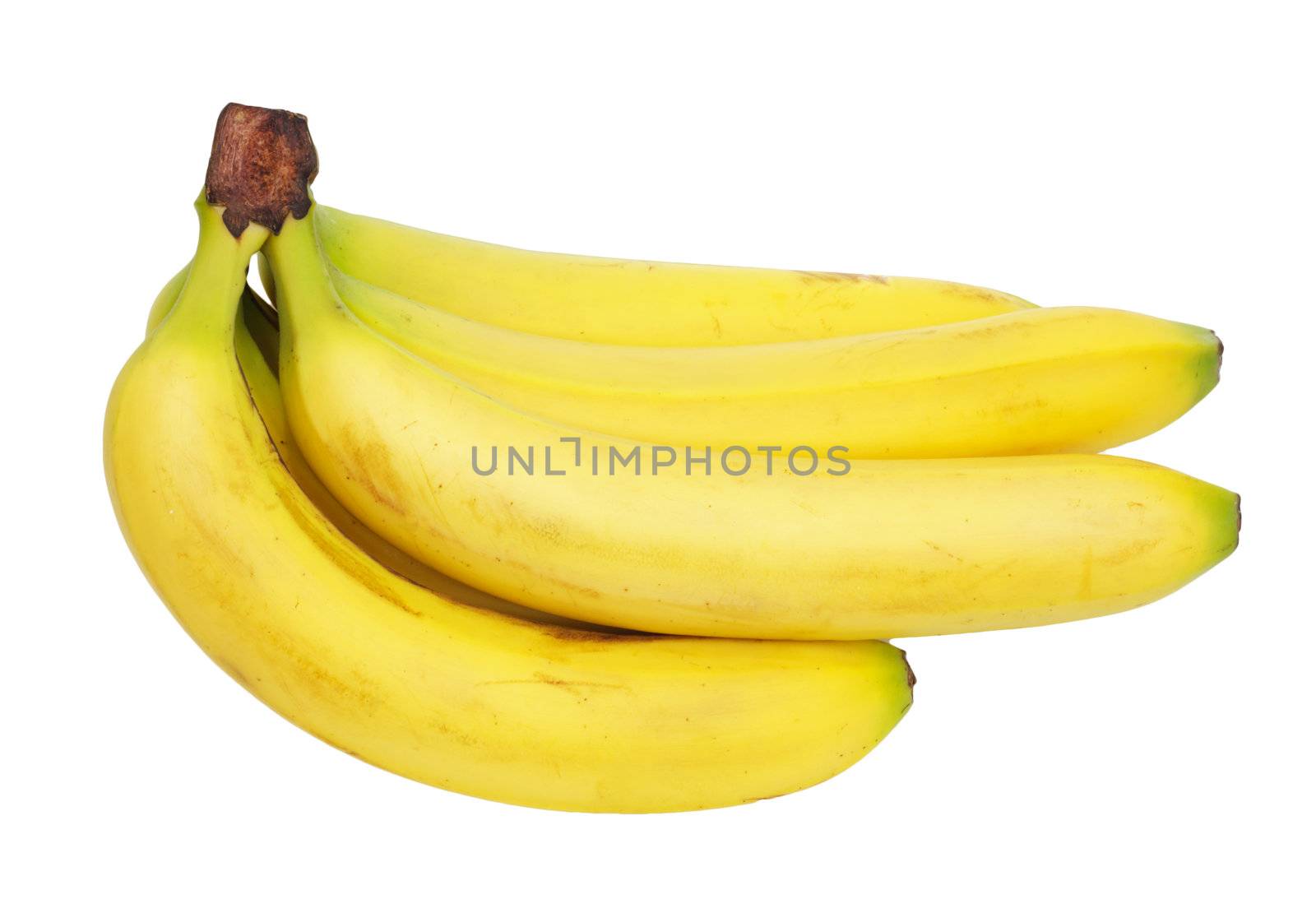 a bunch of bananas by schankz