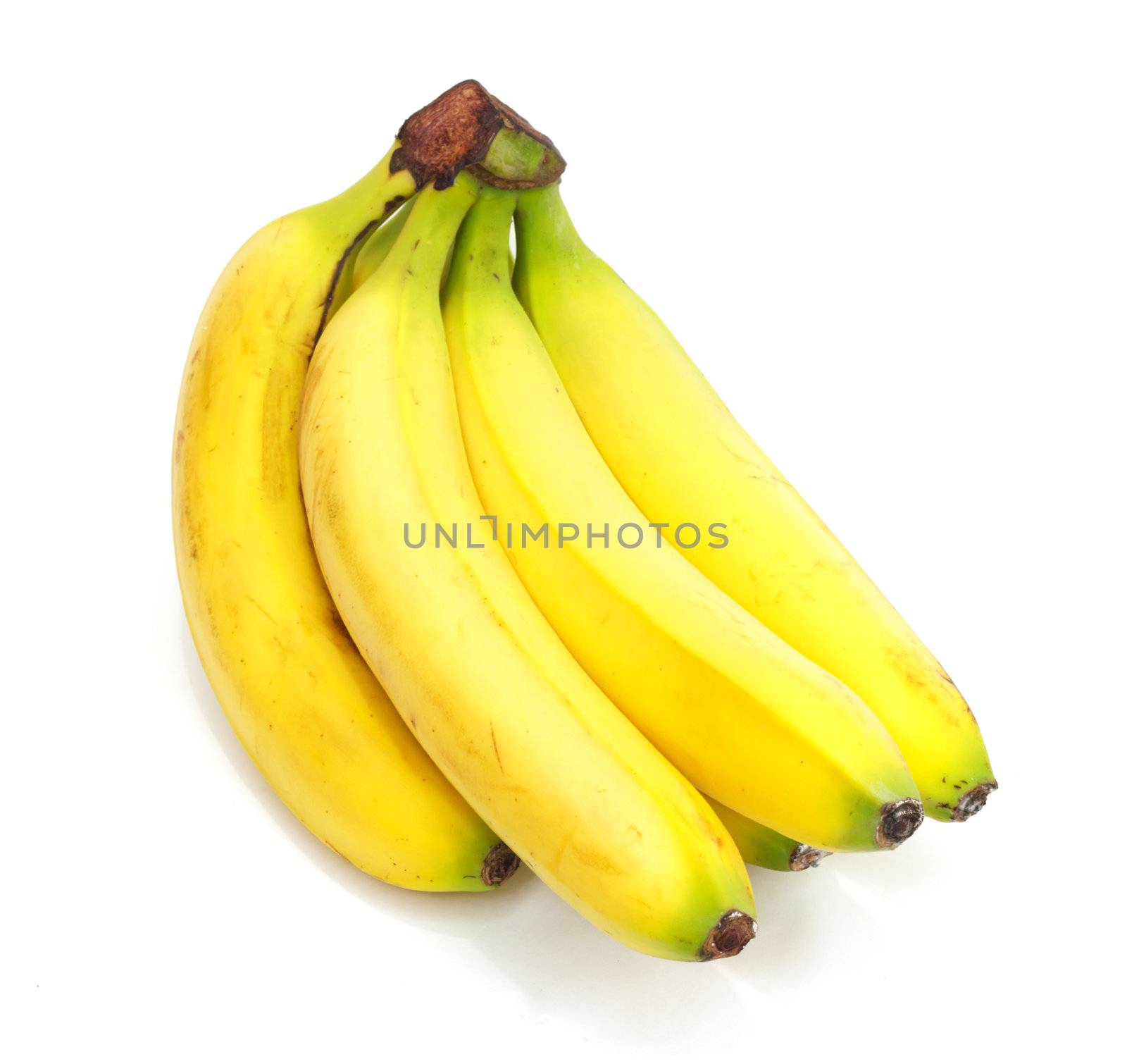 banana bunch  by schankz