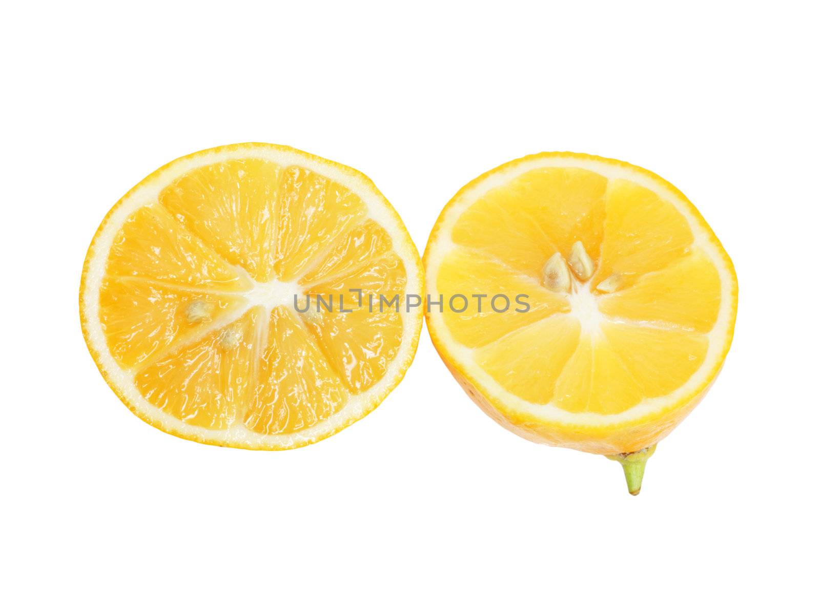 lemon on a white background by schankz