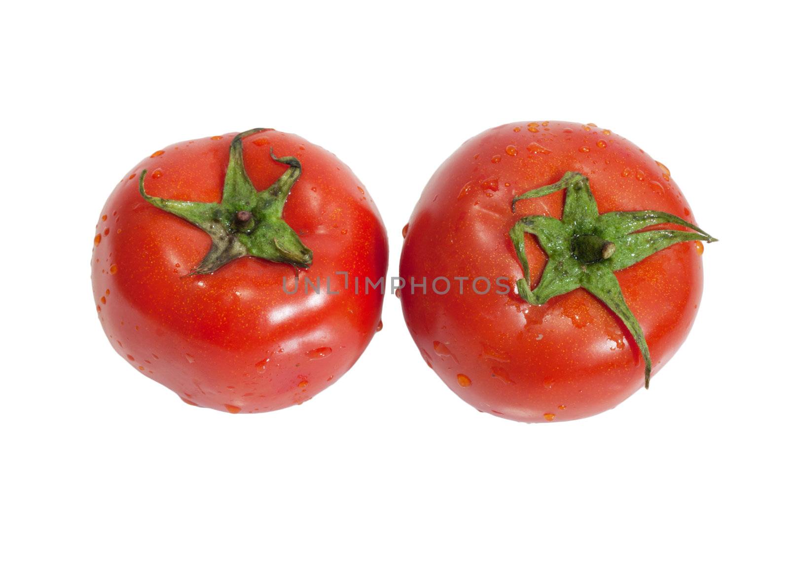 two tomatoes on a white background by schankz