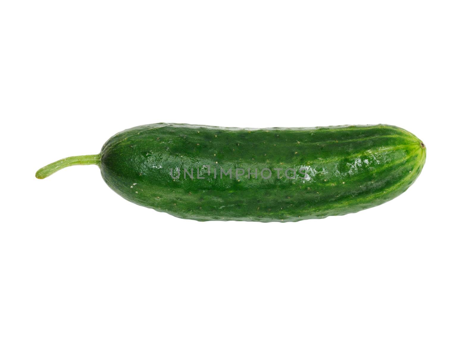 Fresh green Cucumber on a white background  by schankz