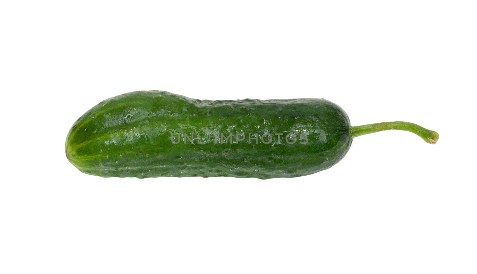 cucumber on white background by schankz