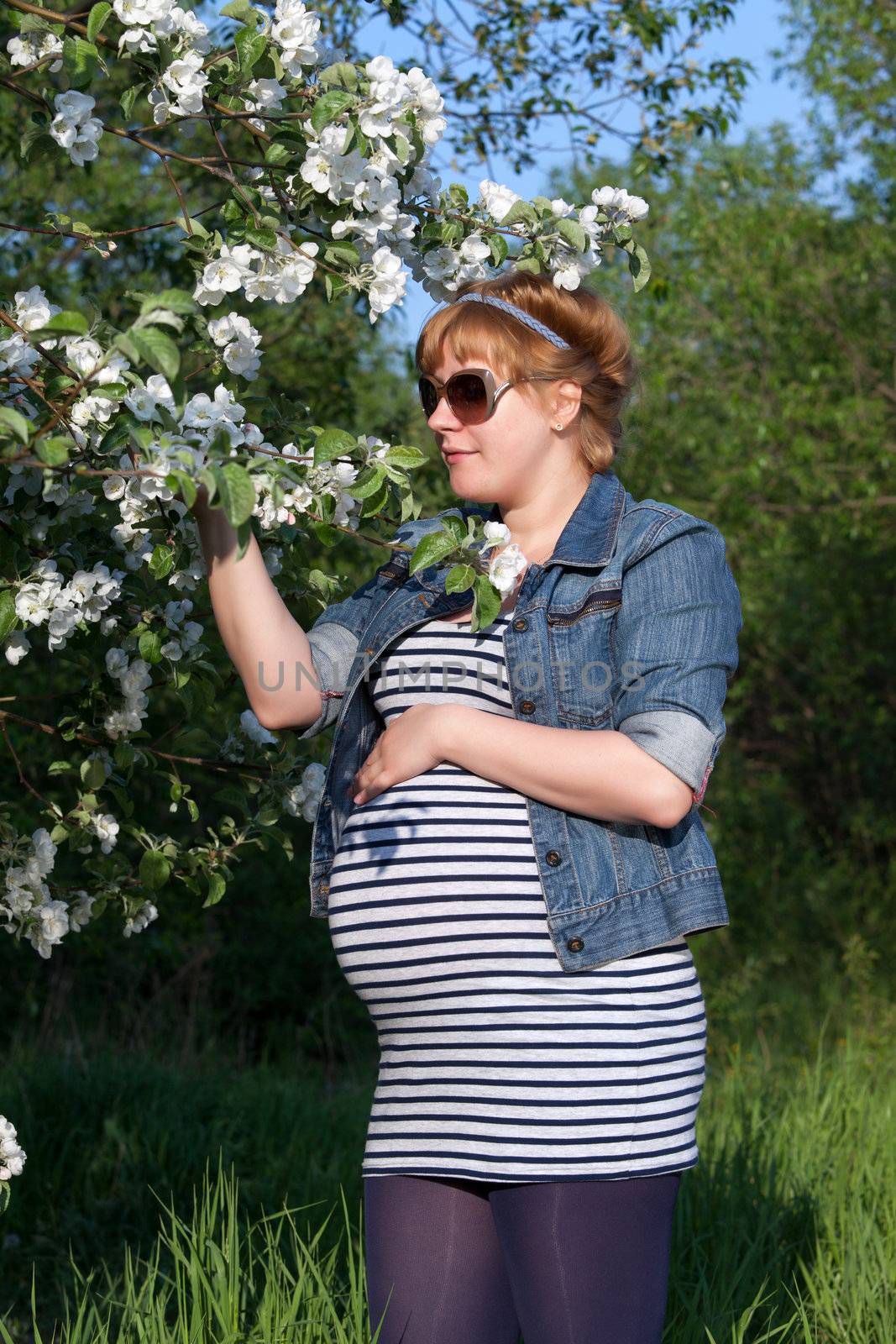 Pregnant woman touching the blooming apple tree