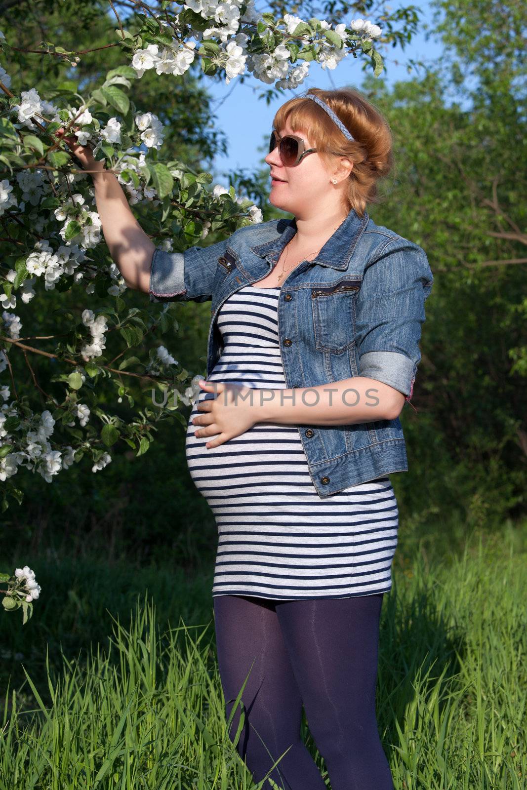 Pregnant woman touching the blooming apple tree