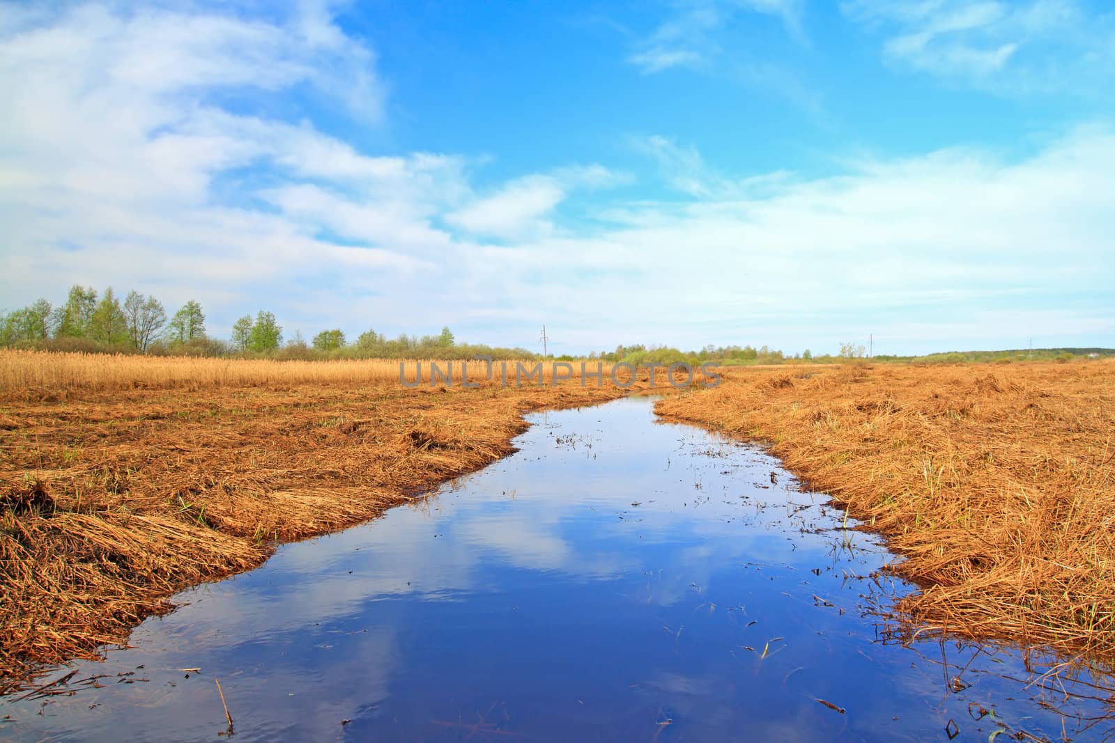 small river amongst dry herb on spring field