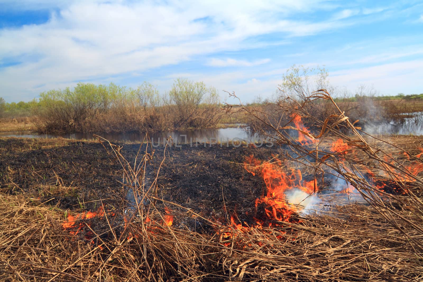 red fire on spring field in dry herb