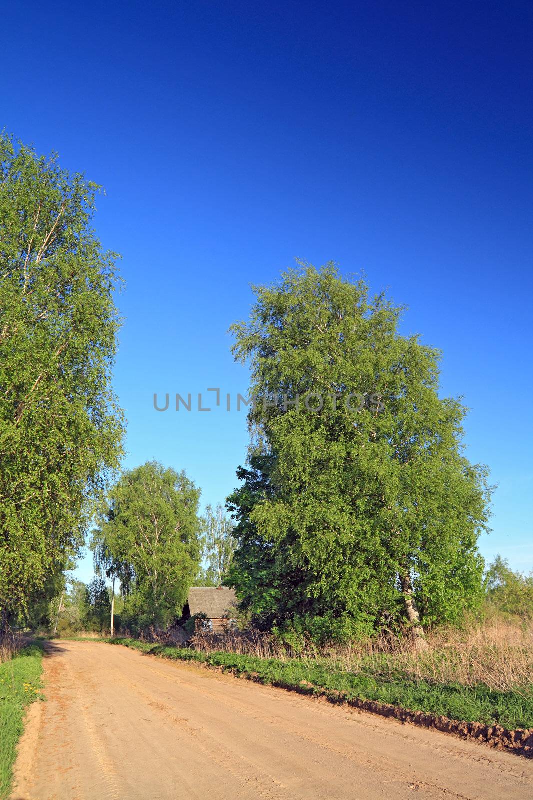 sandy road in abandoned village