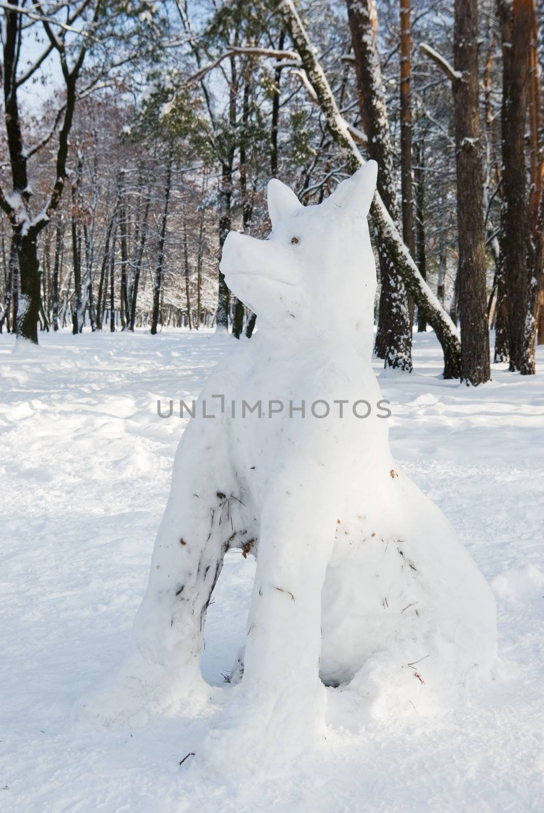 Dogs figure molded out of snow