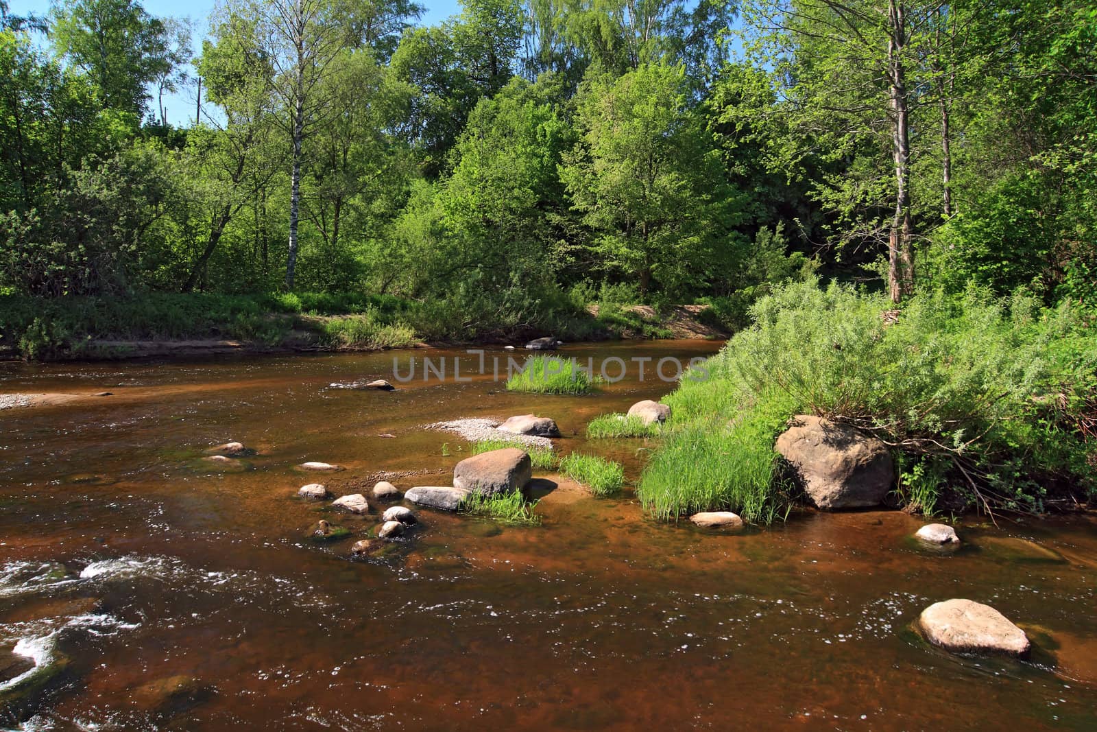 mountain river flow between stone