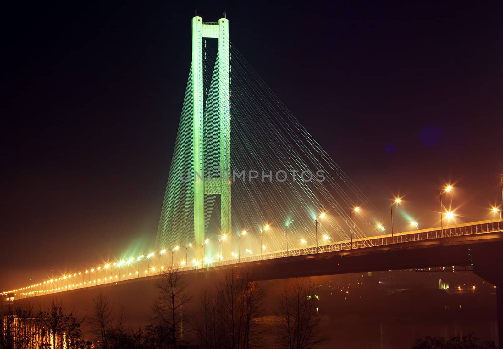 Bridge across the Dnieper River in Kiev.