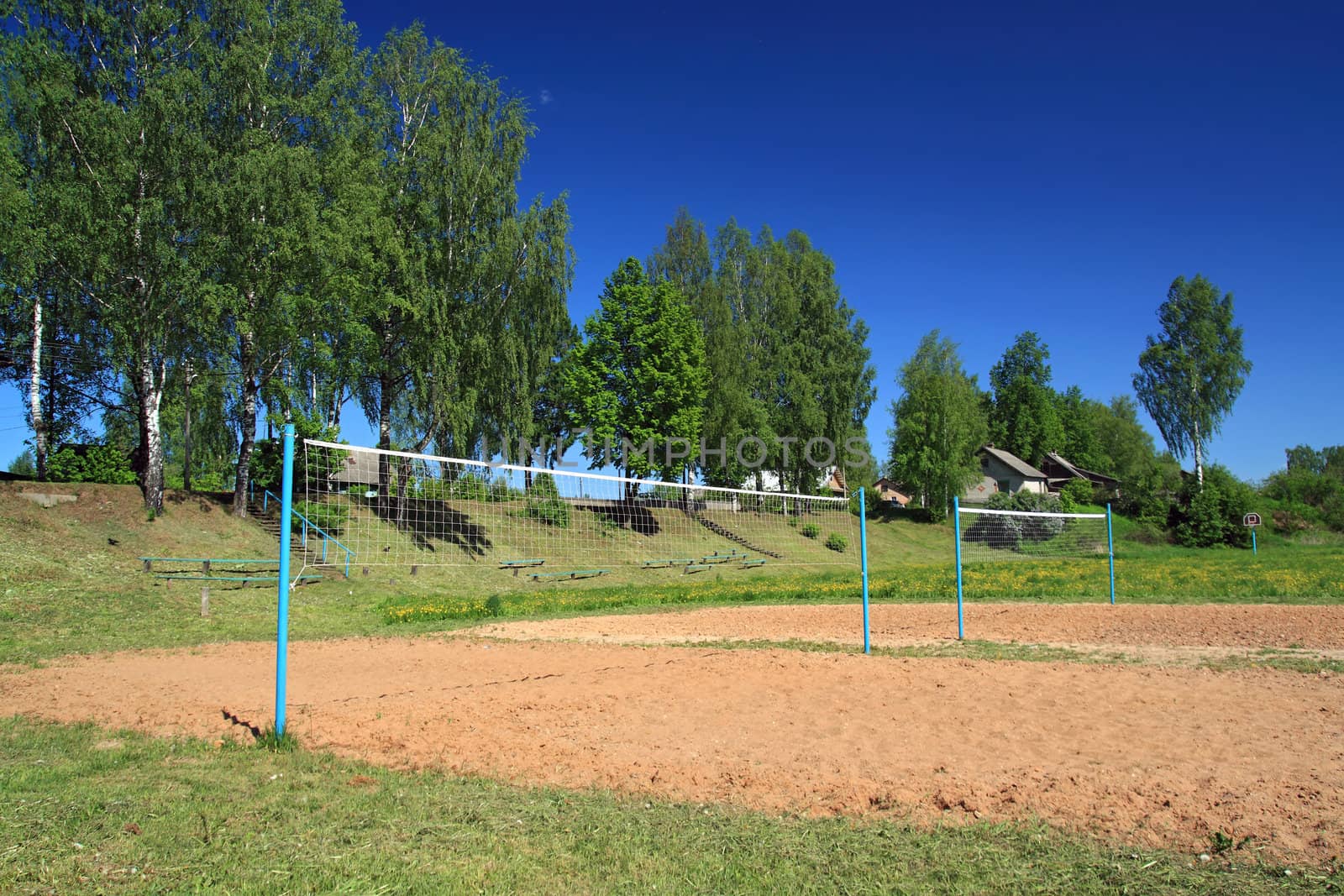 volleyball net amongst summer tree