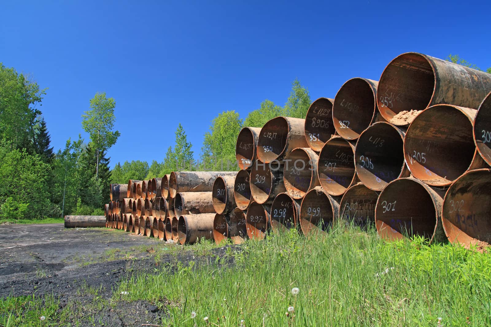 old gas pipes amongst green herb