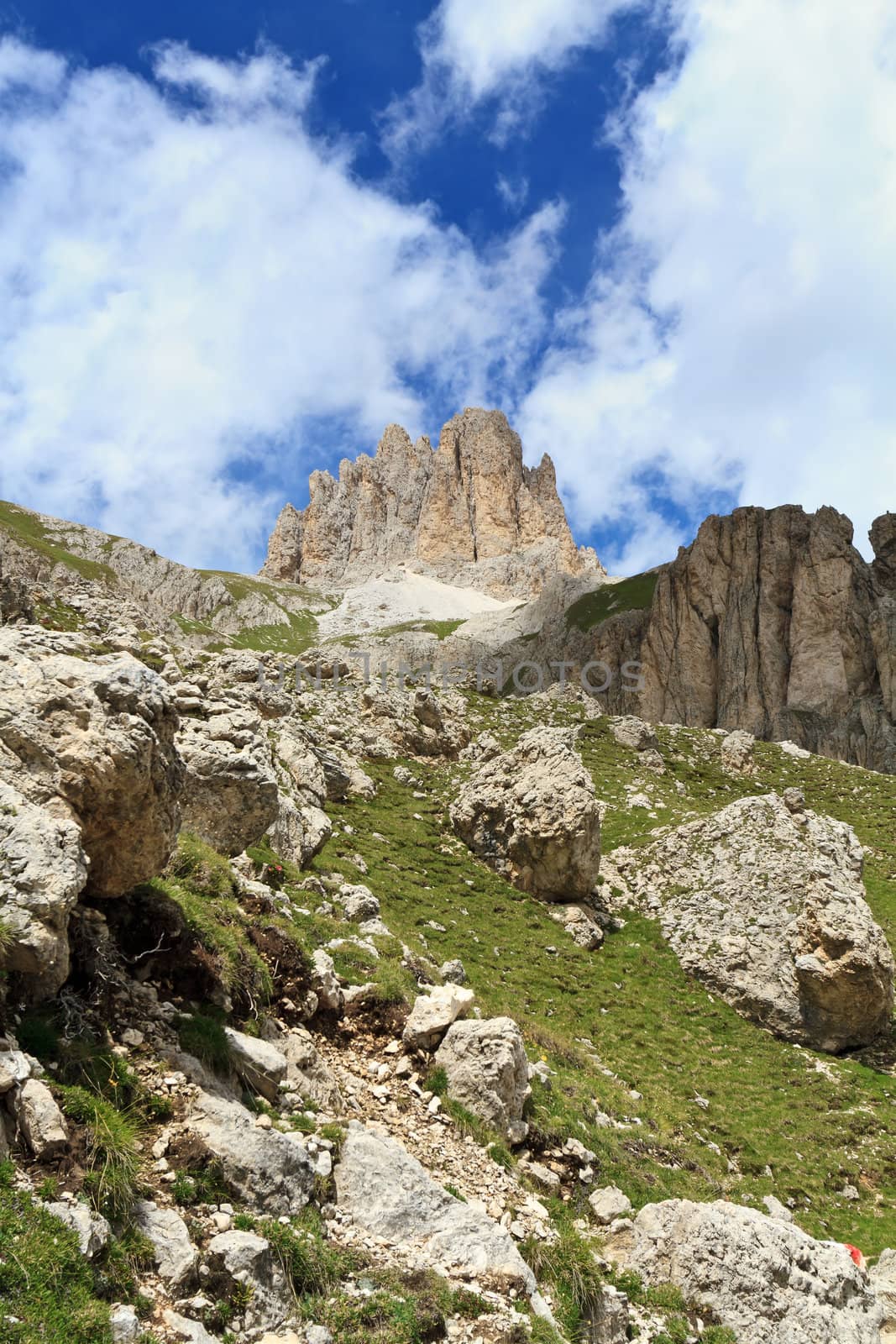 summer landscape in Catinaccio group Italian Dolomites