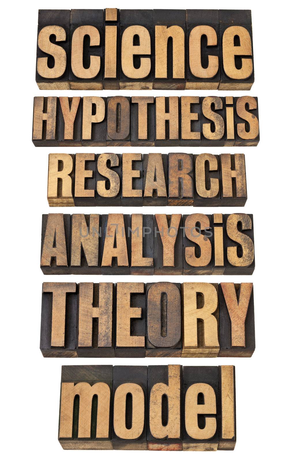 science related terms - a collage of isolated words in vintage letterpress wood type - hypothesis, research, analysis, theory, model