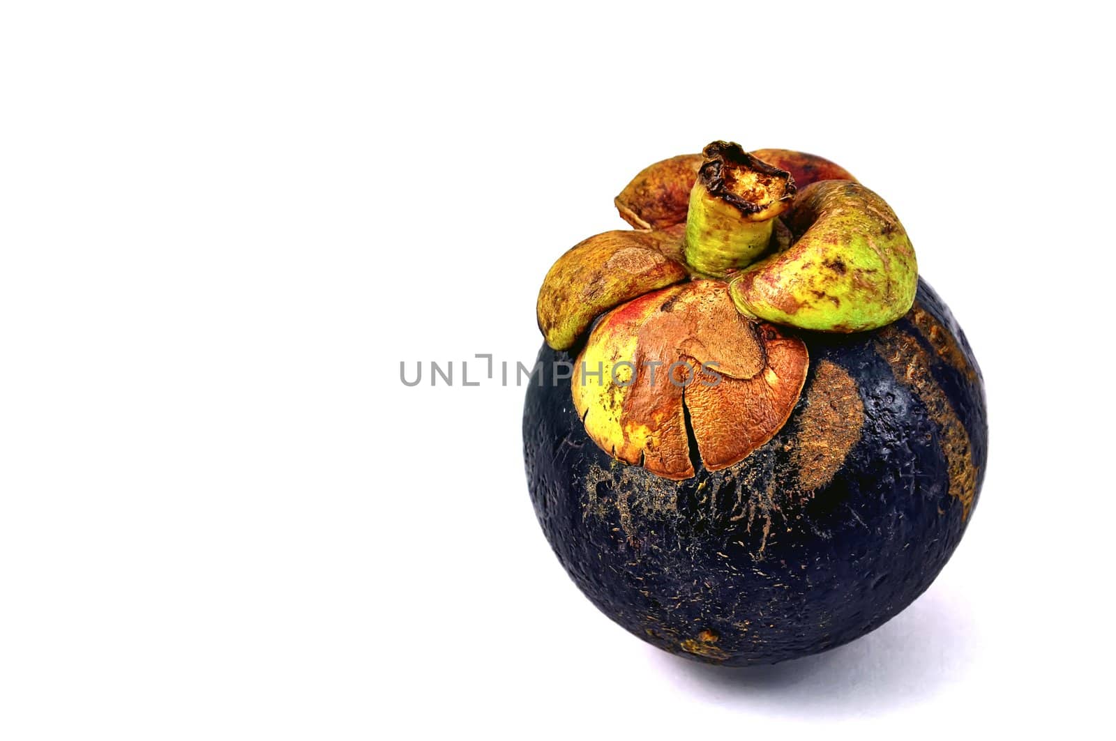 Mangosteen