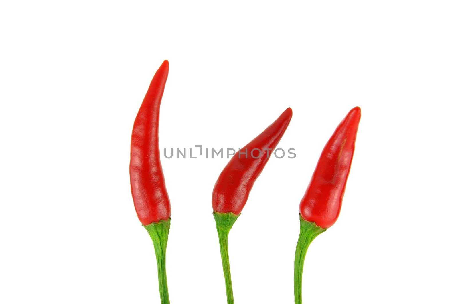 Red hot chili pepper isolated on a white background 