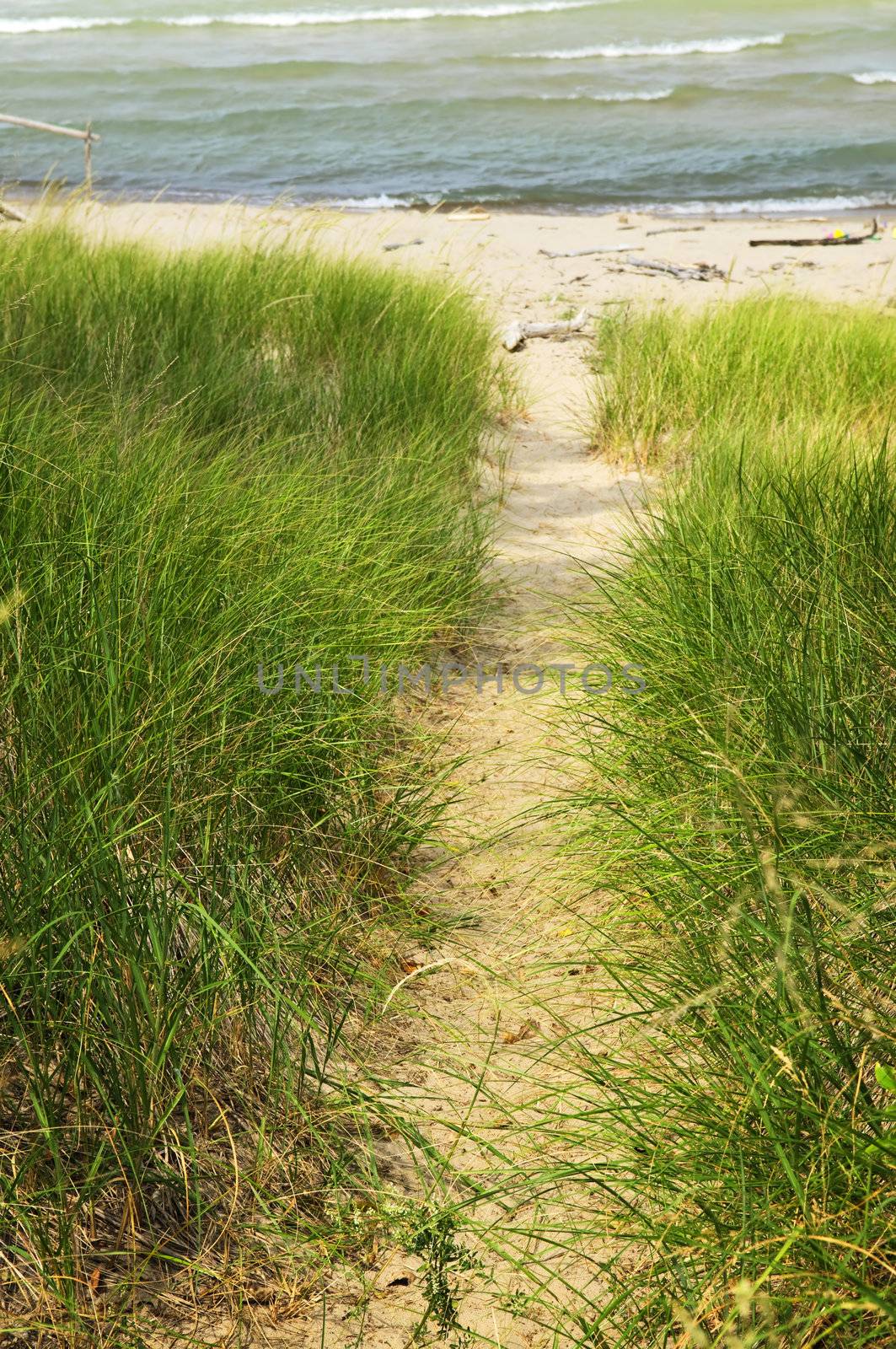 Entrance path to beach. Pinery provincial park, Ontario Canada