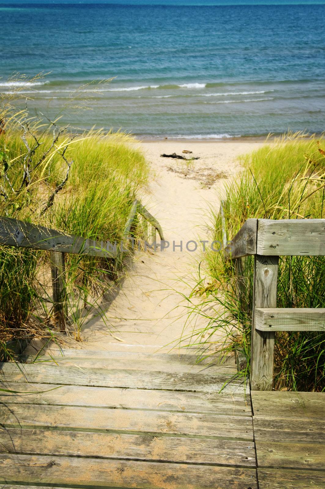 Wooden stairs over dunes at beach. Pinery provincial park, Ontario Canada
