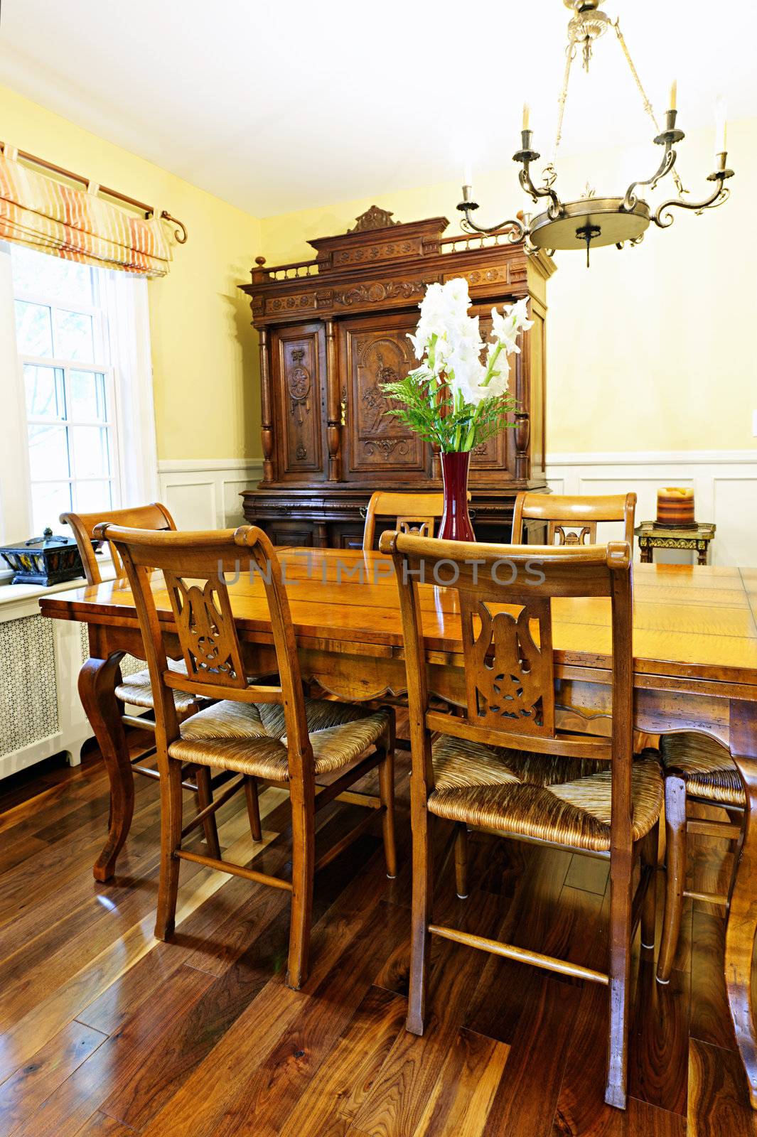 Dining room interior by elenathewise