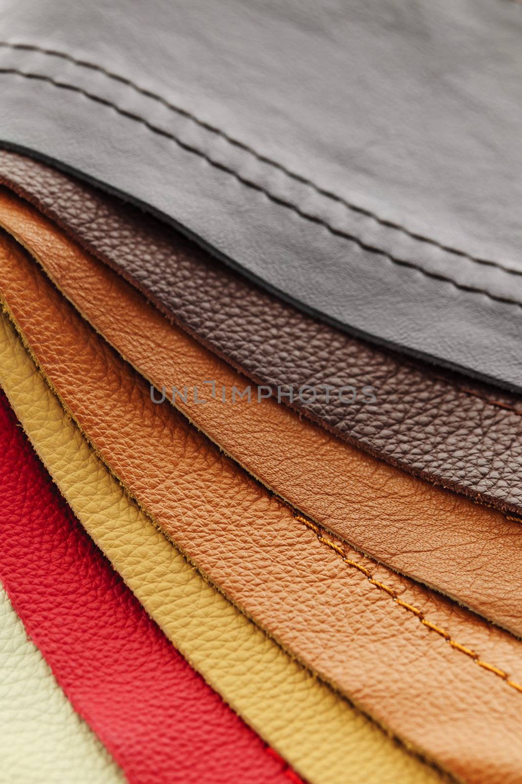 Leather upholstery samples by elenathewise