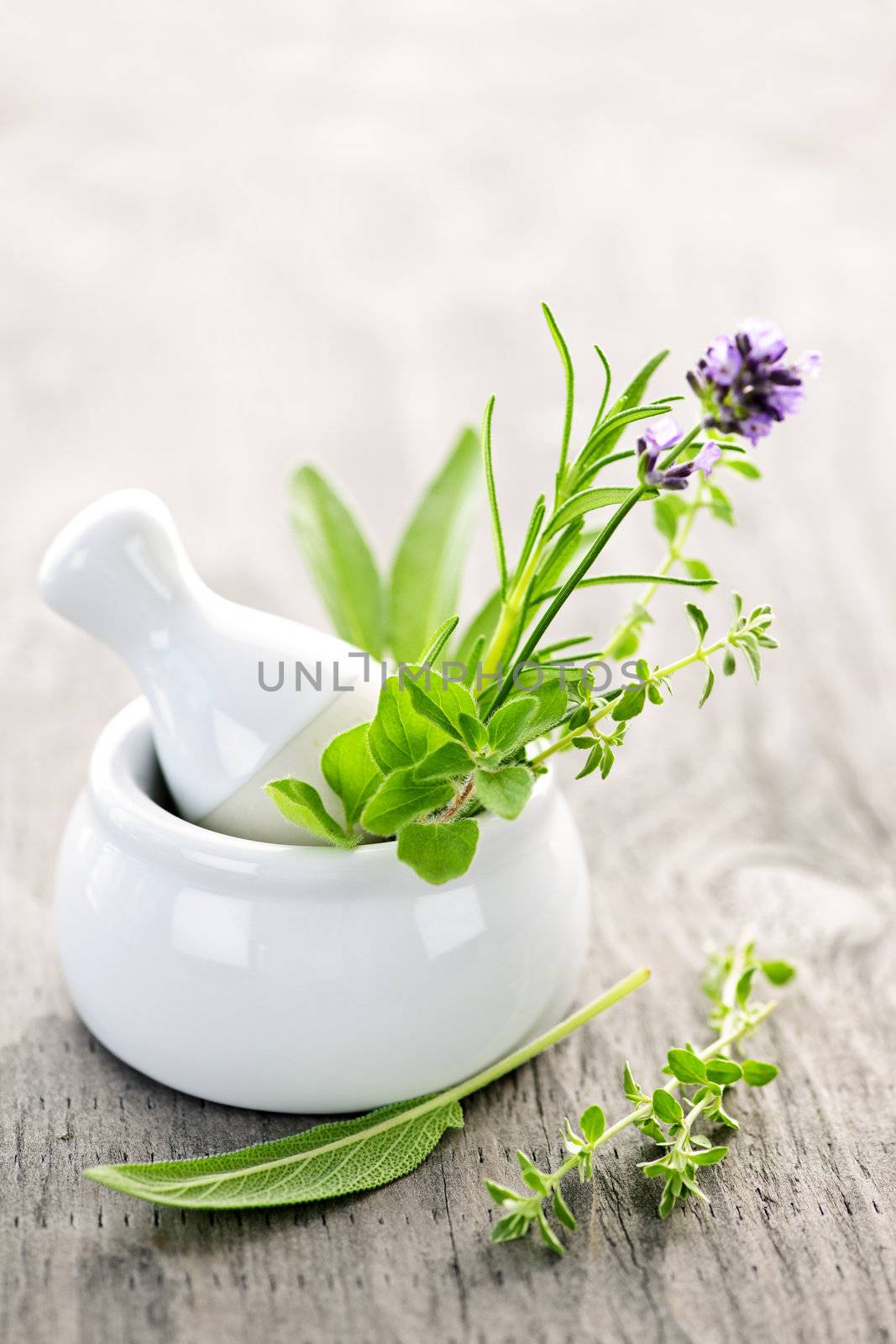 Healing herbs in white ceramic mortar and pestle