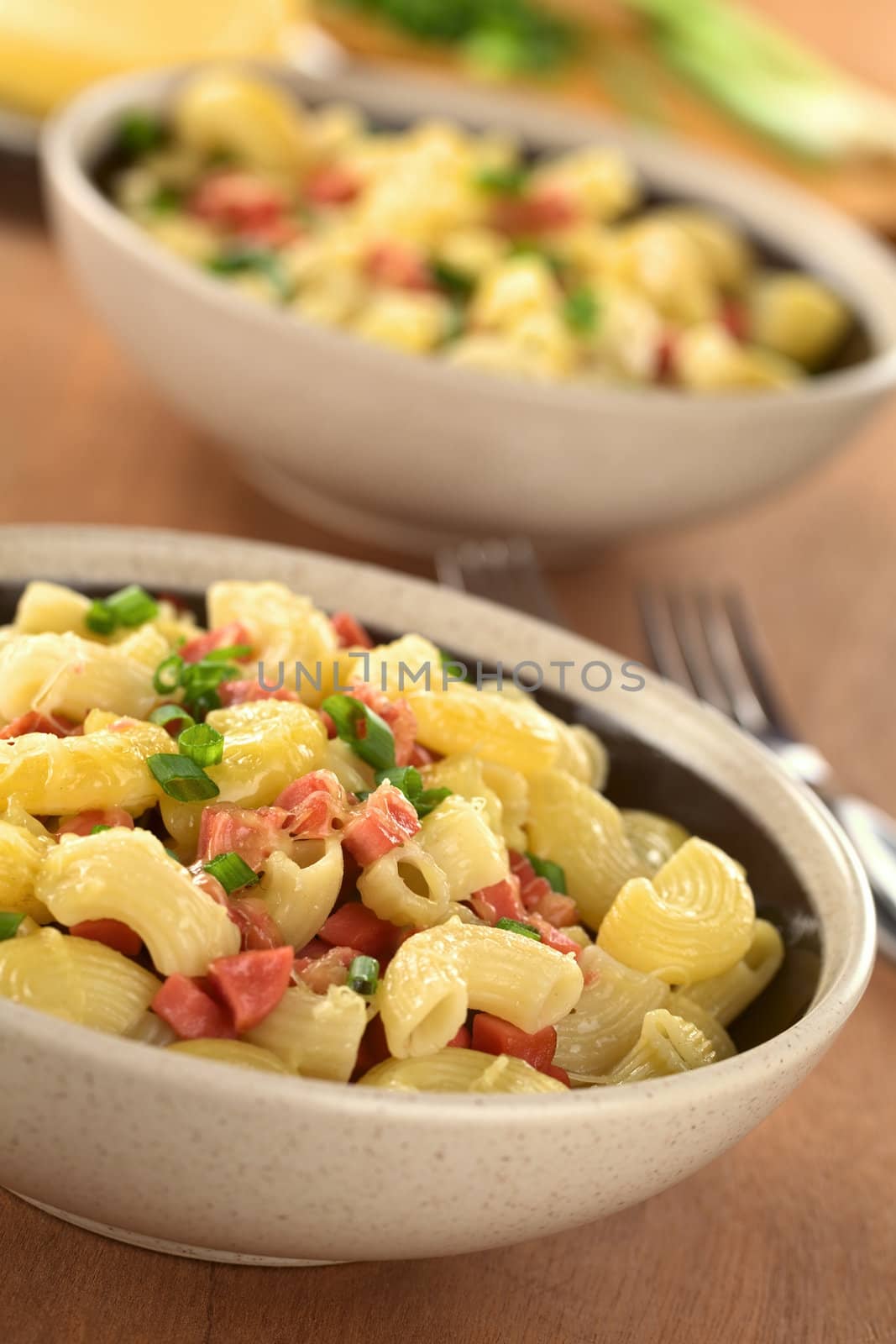 Two bowls full of fresh homemade elbow macaroni pasta with sausage pieces, grated cheese and green onion (Selective Focus, Focus one third into the first dish)