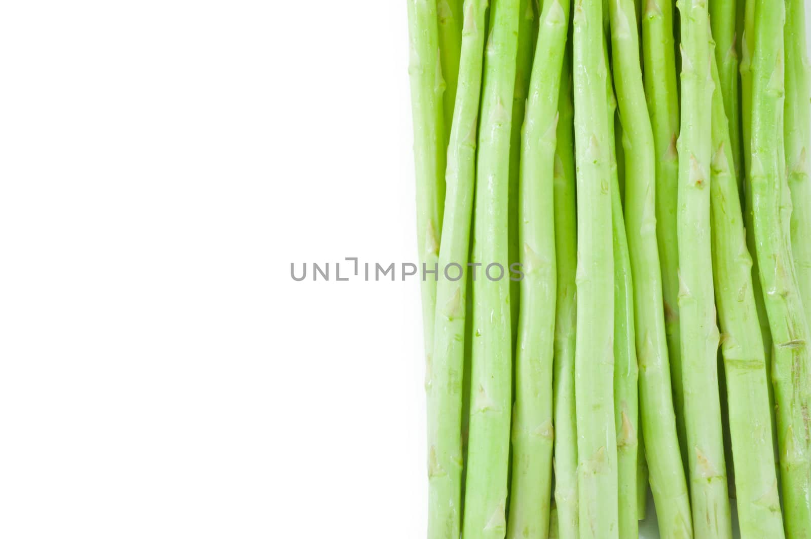 Asparagus sprouts isolated on white background