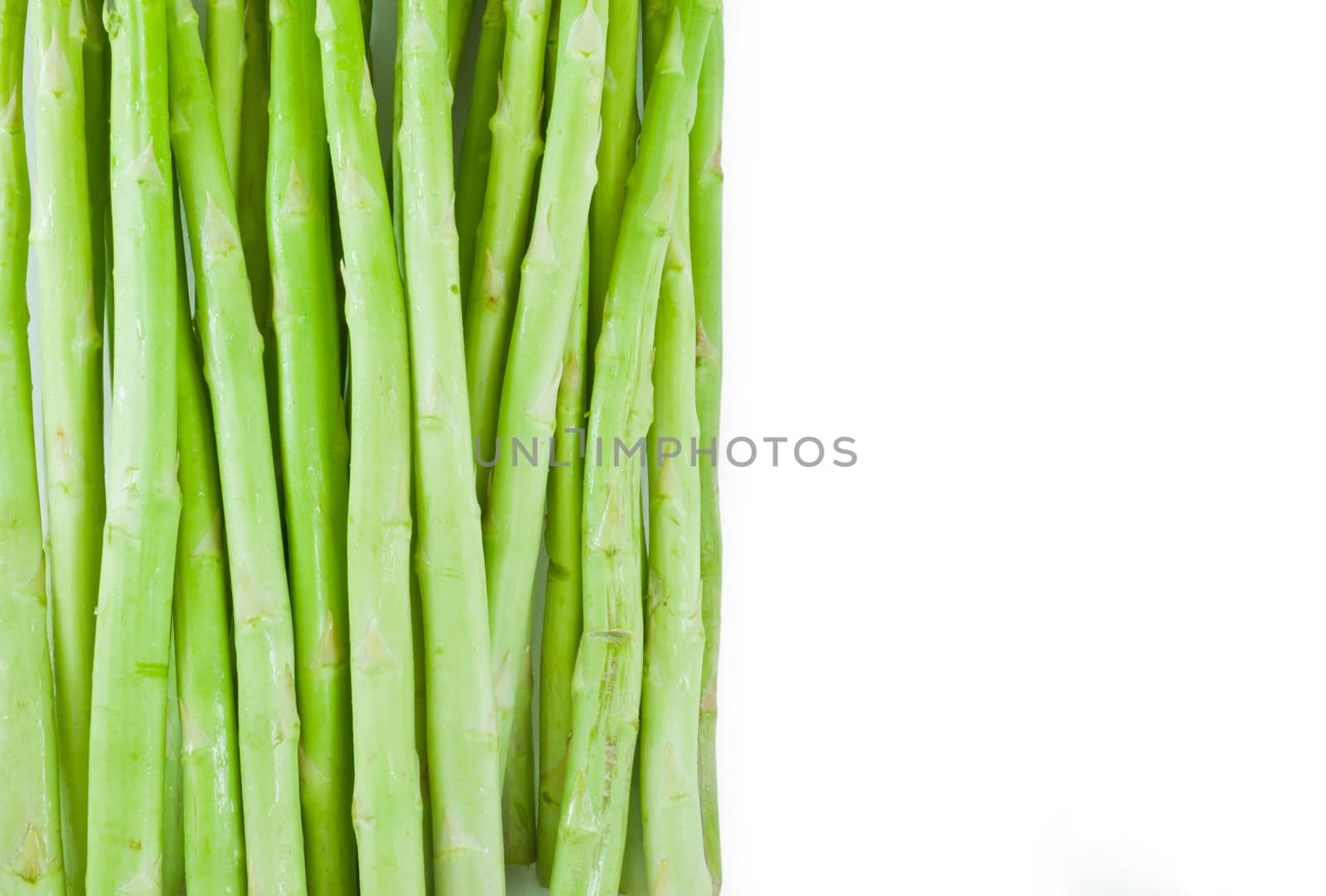 Asparagus sprouts isolated on white background