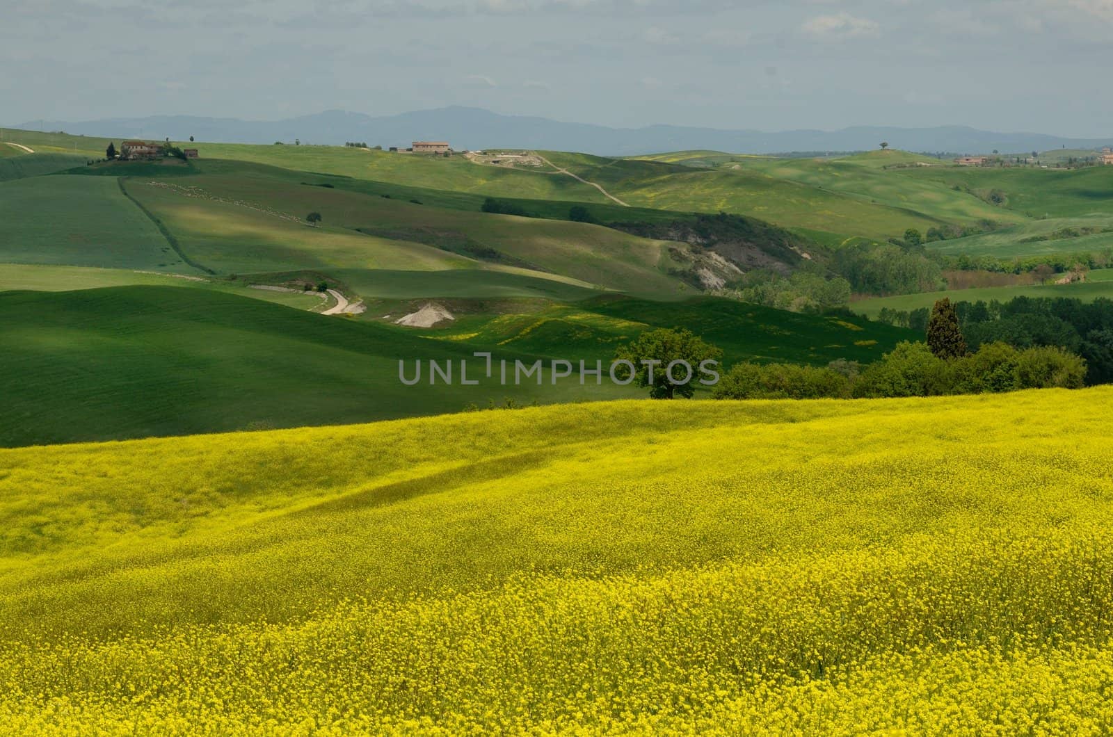 One of the most beautiful country landscape in Tuscany