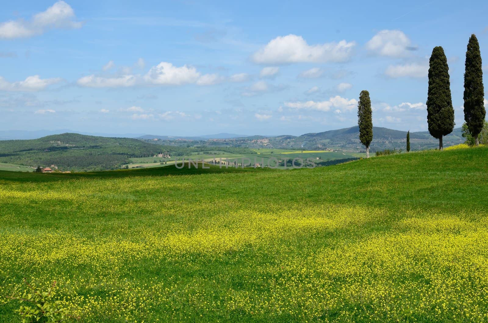 One of the most beautiful country landscape in Tuscany