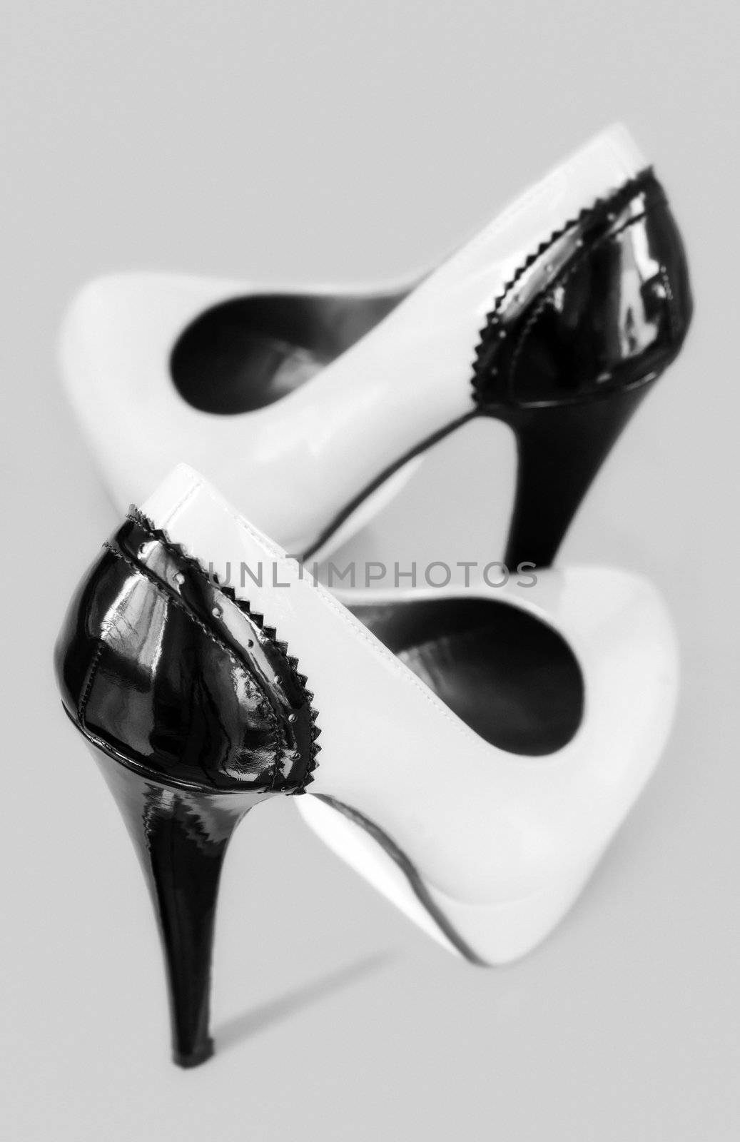 Lady shoes on grey background