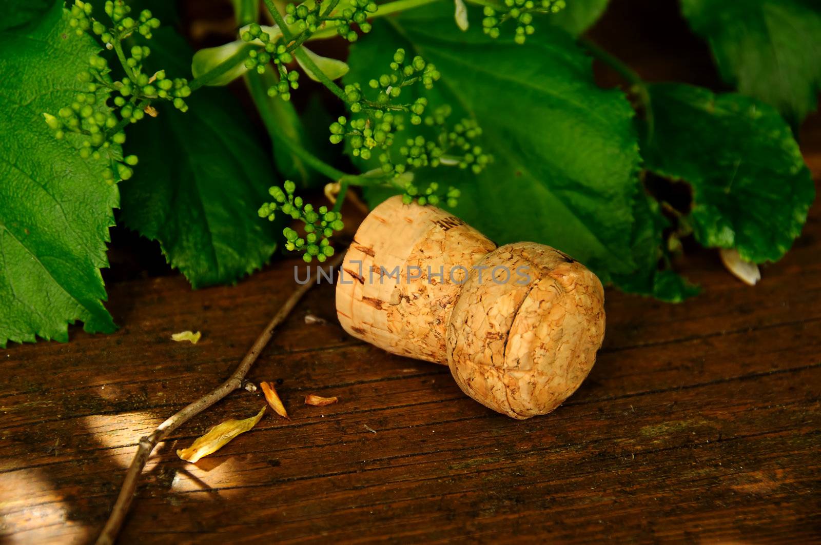 The garden party is over, a champagne cork is lying on the patio floor