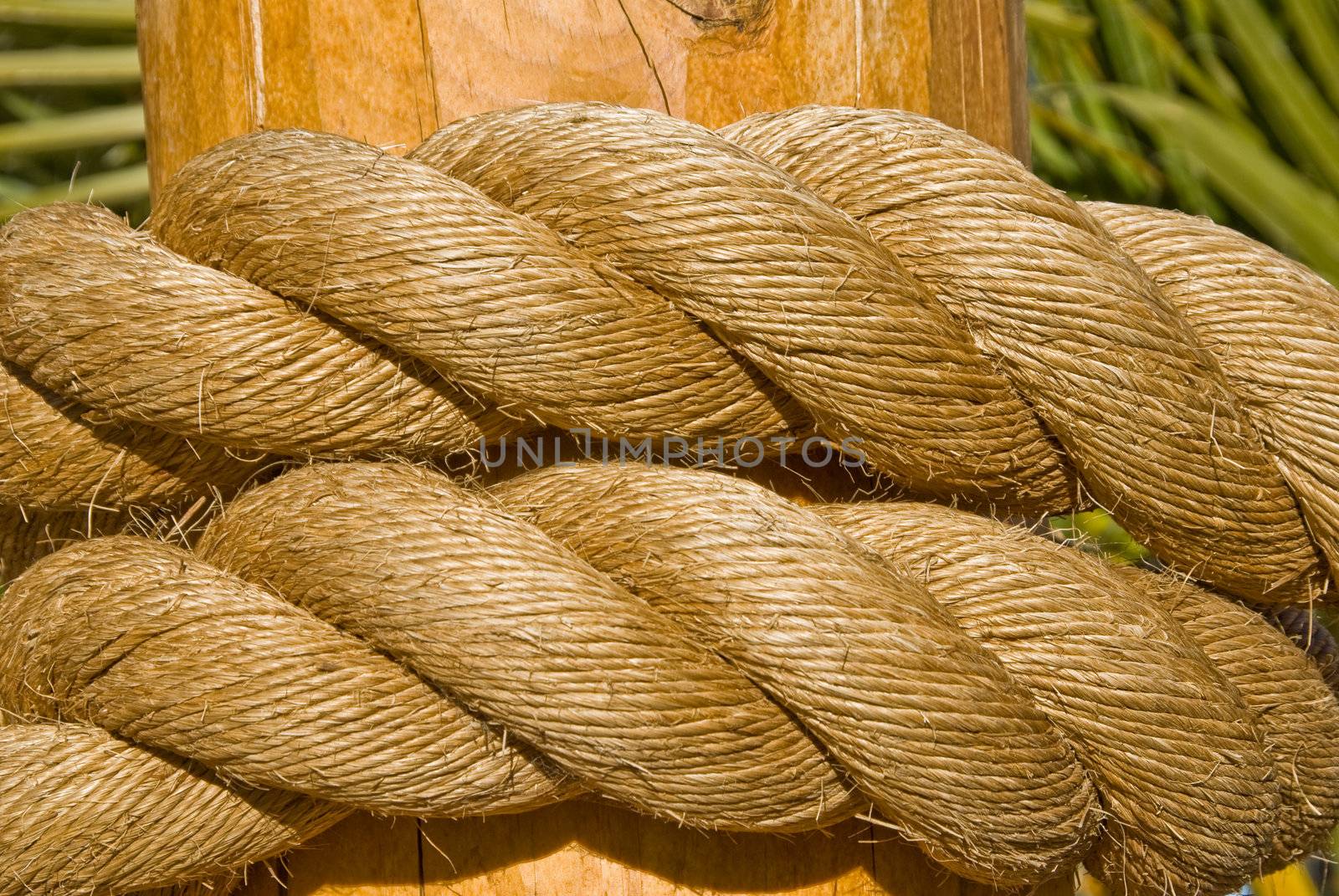 Double ropes knotted on a wooden post