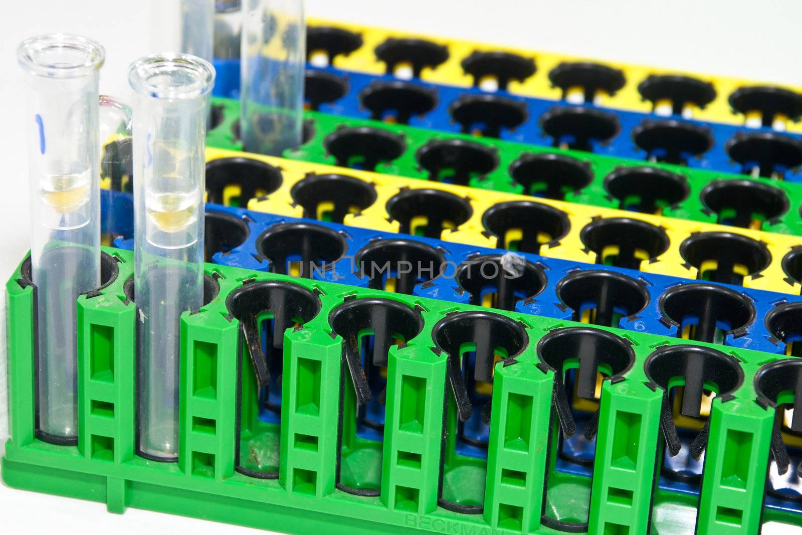 Test tubes on rack