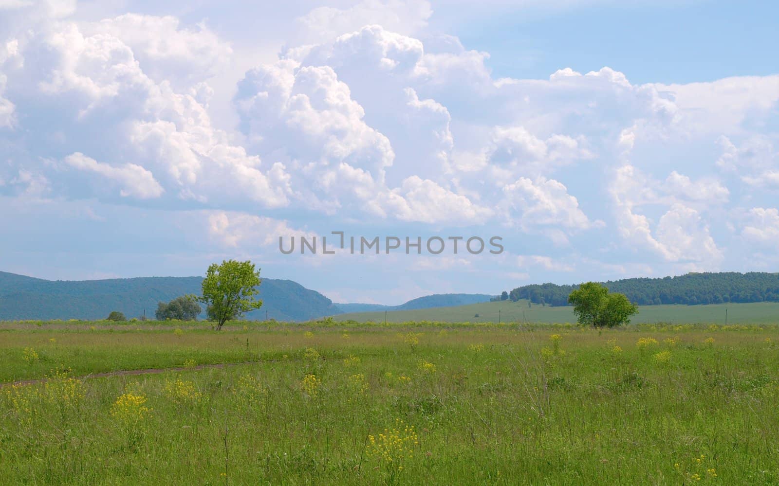 Summer landscape by sergpet