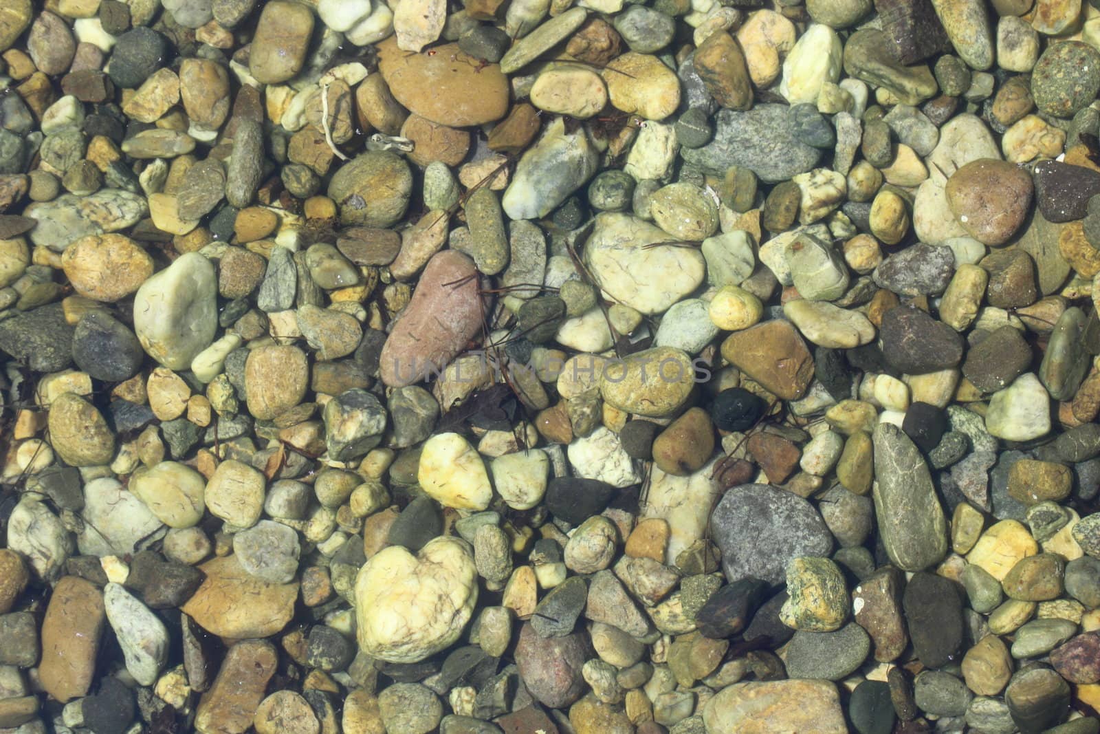 textured stones in the clear water of a mountain lake