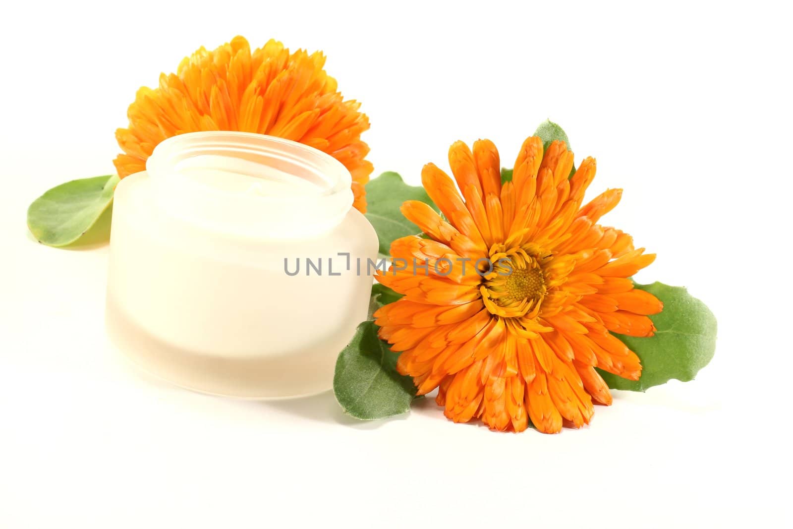 marigold salve by discovery