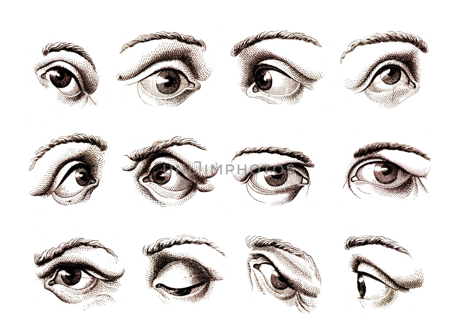 Human eye in various positions by anterovium