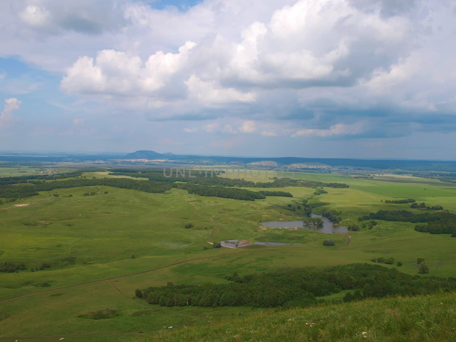 Beautiful summer landscape