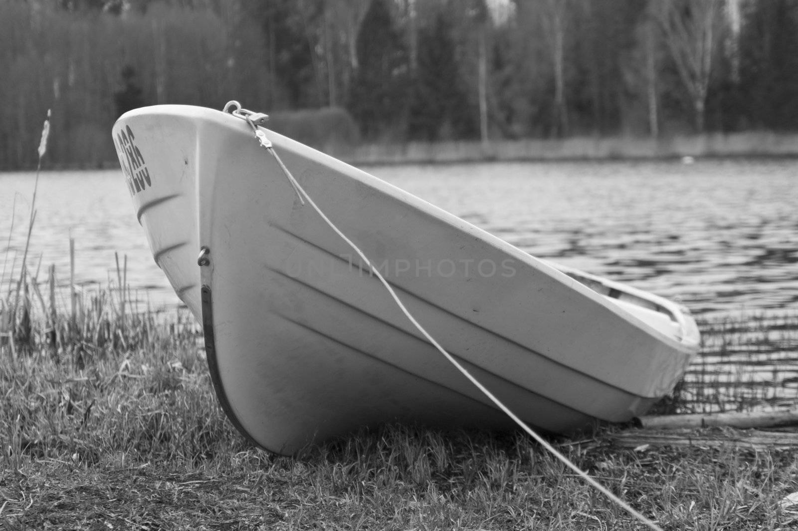 White black foto of boat on shore by vetdoctor