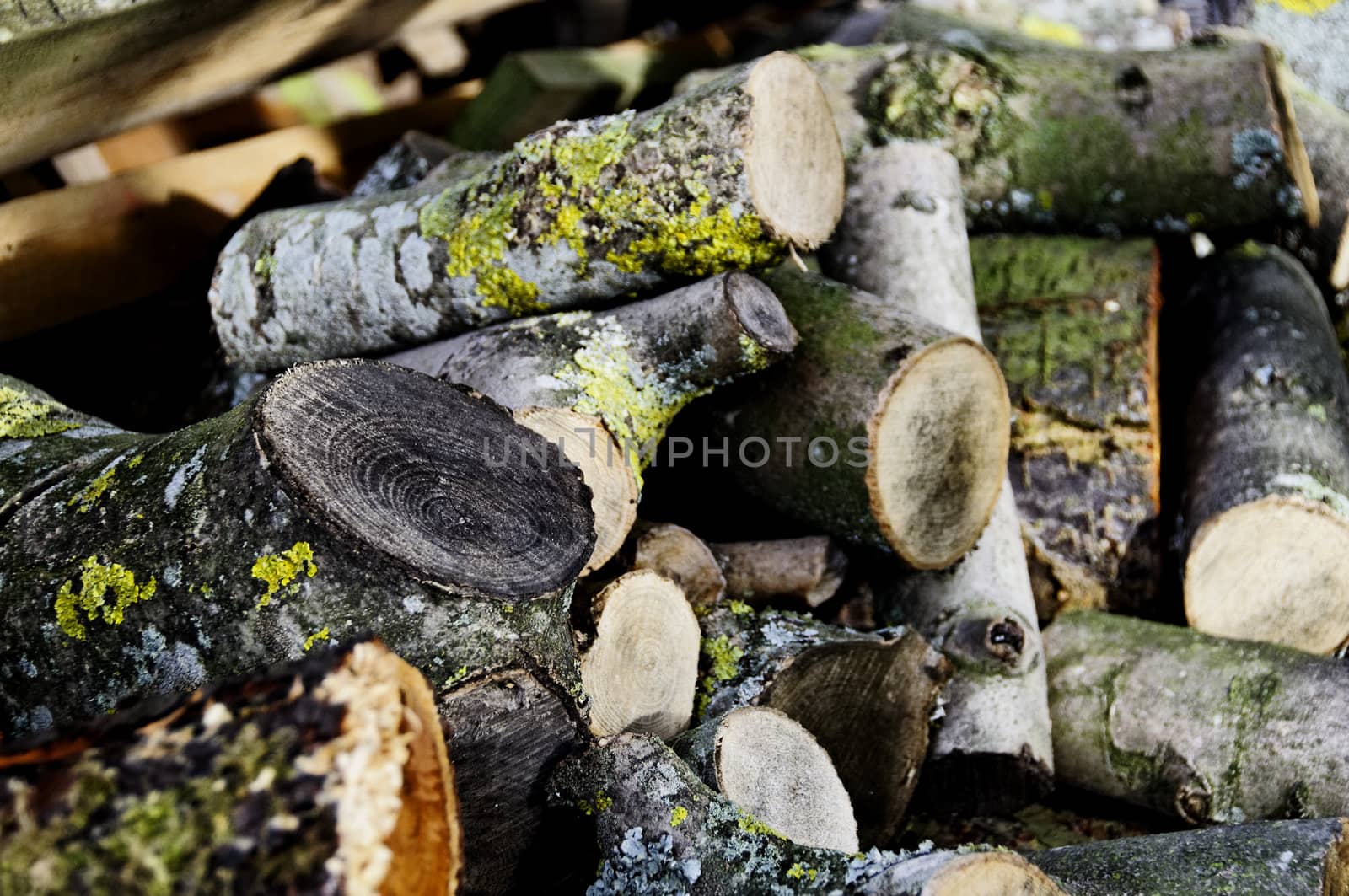 Stack of logs