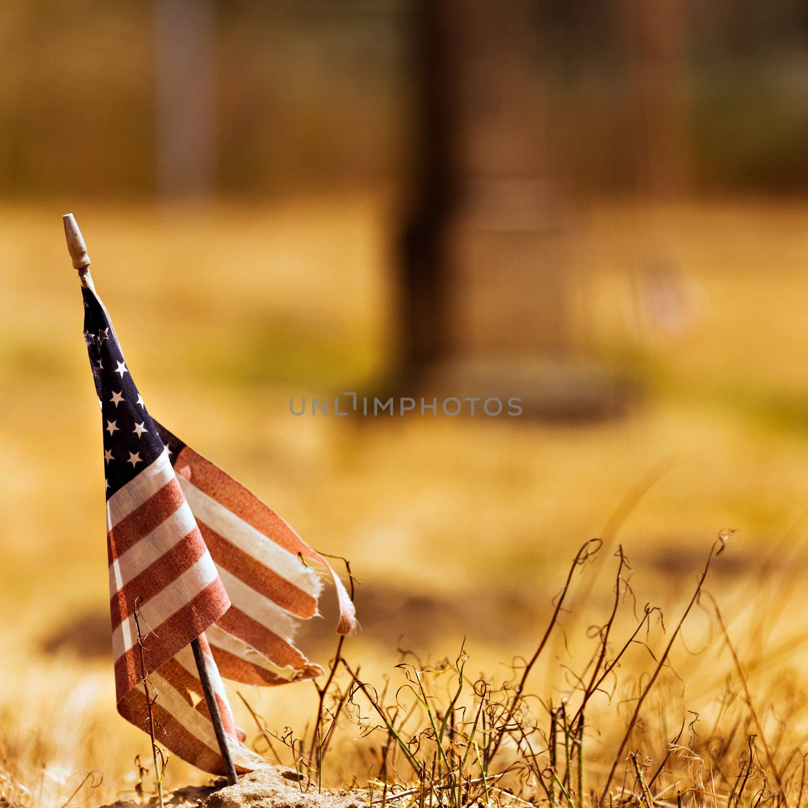 Worn out american flag against a dried out field background.