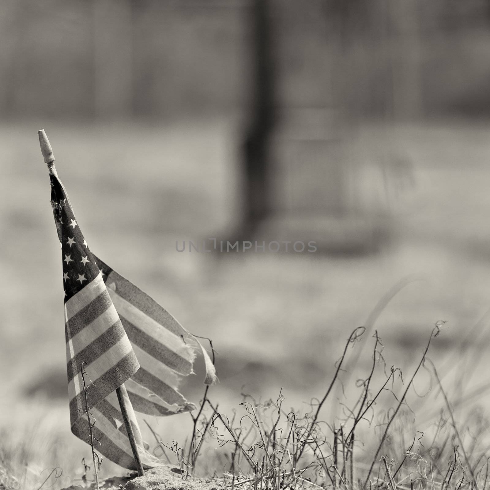 Tattered american flag taken at and old cemetary with monument in background. shallow field of fiew with focus on flag